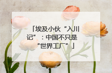 埃及小伙“入川记”：中国不只是“世界工厂”