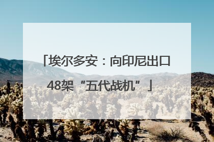 埃尔多安：向印尼出口48架“五代战机”