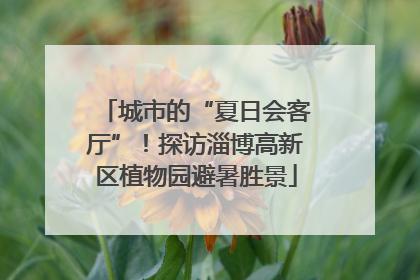 城市的“夏日会客厅”！探访淄博高新区植物园避暑胜景