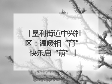 垦利街道中兴社区：温暖相“育” 快乐启“萌”
