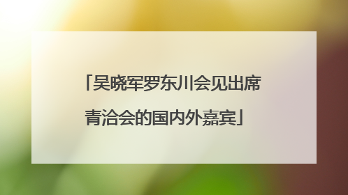吴晓军罗东川会见出席青洽会的国内外嘉宾