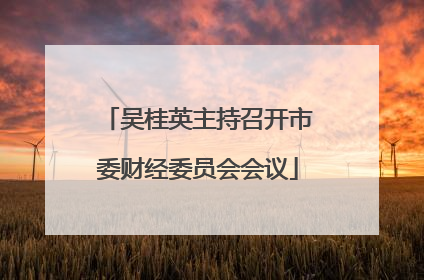 吴桂英主持召开市委财经委员会会议