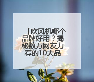 吹风机哪个品牌好用？揭秘数万网友力荐的10大品牌！