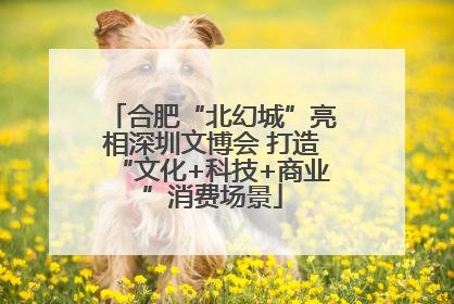 合肥“北幻城”亮相深圳文博会 打造“文化+科技+商业”消费场景