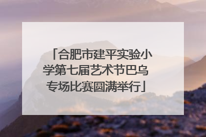 合肥市建平实验小学第七届艺术节巴乌专场比赛圆满举行