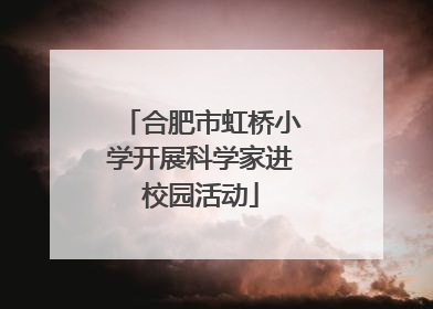 合肥市虹桥小学开展科学家进校园活动