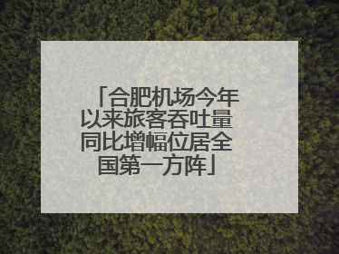 合肥机场今年以来旅客吞吐量同比增幅位居全国第一方阵