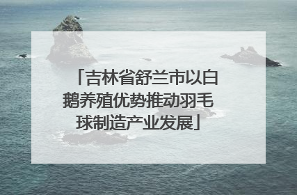 吉林省舒兰市以白鹅养殖优势推动羽毛球制造产业发展