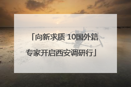 向新求质 10国外籍专家开启西安调研行
