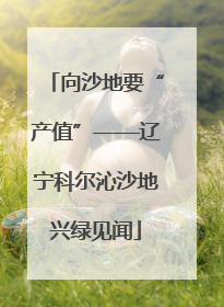 向沙地要“产值”——辽宁科尔沁沙地兴绿见闻