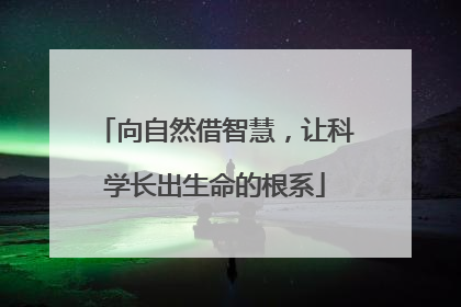 向自然借智慧，让科学长出生命的根系