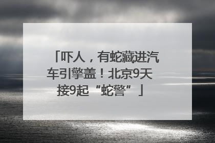 吓人，有蛇藏进汽车引擎盖！北京9天接9起“蛇警”