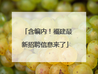 含编内！福建最新招聘信息来了