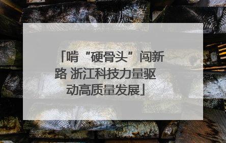 啃“硬骨头”闯新路 浙江科技力量驱动高质量发展