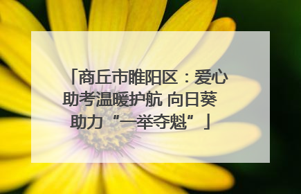 商丘市睢阳区：爱心助考温暖护航 向日葵助力“一举夺魁”