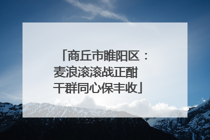 商丘市睢阳区：麦浪滚滚战正酣 干群同心保丰收