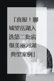 喜报！聊城望岳湖入选第二批省级美丽河湖典型案例
