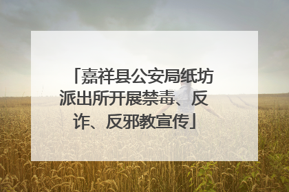 嘉祥县公安局纸坊派出所开展禁毒、反诈、反邪教宣传