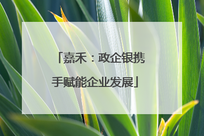 嘉禾：政企银携手赋能企业发展
