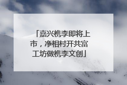 嘉兴槜李即将上市，净相村开共富工坊做槜李文创