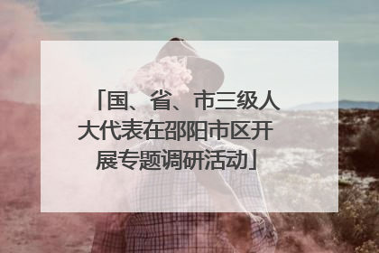 国、省、市三级人大代表在邵阳市区开展专题调研活动