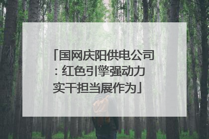 国网庆阳供电公司：红色引擎强动力 实干担当展作为