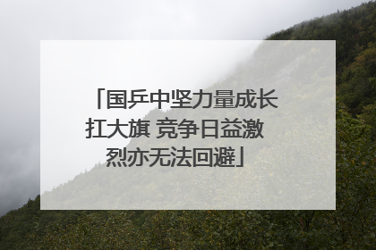 国乒中坚力量成长扛大旗 竞争日益激烈亦无法回避
