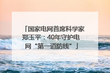 国家电网首席科学家郑玉平：40年守护电网“第一道防线”