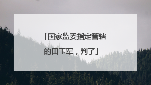 国家监委指定管辖的田玉军，判了