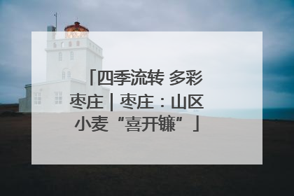 四季流转 多彩枣庄｜枣庄：山区小麦“喜开镰”