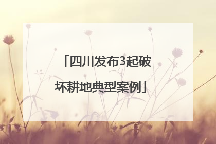 四川发布3起破坏耕地典型案例