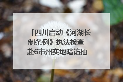 四川启动《河湖长制条例》执法检查 赴6市州实地暗访抽查｜四川人大之声