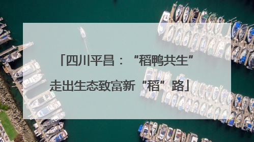 四川平昌：“稻鸭共生”走出生态致富新“稻”路