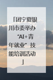 团宁夏银川市委举办“AI+青年就业”技能培训活动