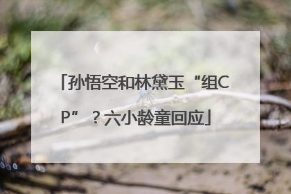 孙悟空和林黛玉“组CP”？六小龄童回应