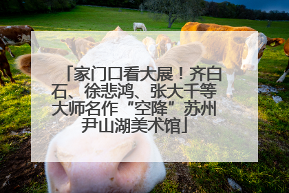 家门口看大展！齐白石、徐悲鸿、张大千等大师名作“空降”苏州尹山湖美术馆