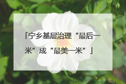 宁乡基层治理“最后一米”成“最美一米”