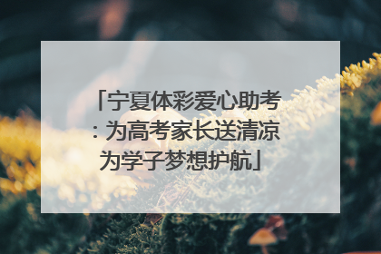 宁夏体彩爱心助考：为高考家长送清凉 为学子梦想护航