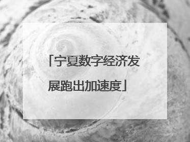 宁夏数字经济发展跑出加速度