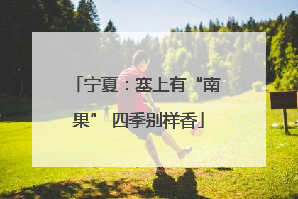 宁夏：塞上有“南果” 四季别样香