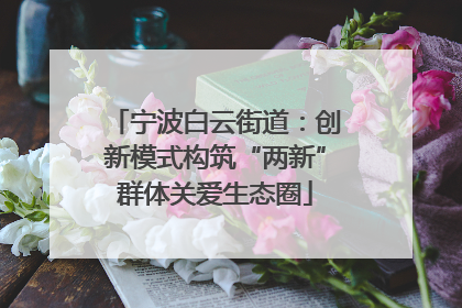 宁波白云街道：创新模式构筑“两新”群体关爱生态圈