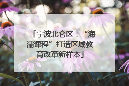 宁波北仑区：“海濡课程”打造区域教育改革新样本