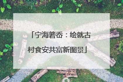 宁海箬岙：绘就古村食安共富新图景