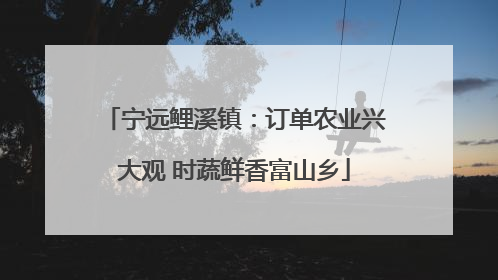 宁远鲤溪镇：订单农业兴大观 时蔬鲜香富山乡