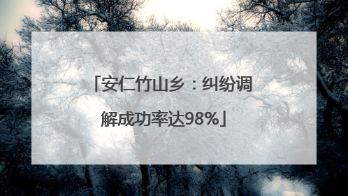 安仁竹山乡：纠纷调解成功率达98%