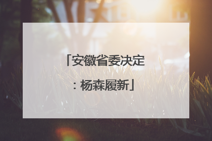 安徽省委决定：杨森履新