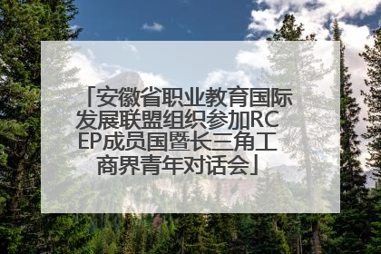 安徽省职业教育国际发展联盟组织参加RCEP成员国暨长三角工商界青年对话会