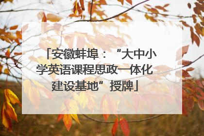 安徽蚌埠：“大中小学英语课程思政一体化建设基地”授牌