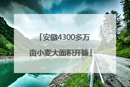 安徽4300多万亩小麦大面积开镰