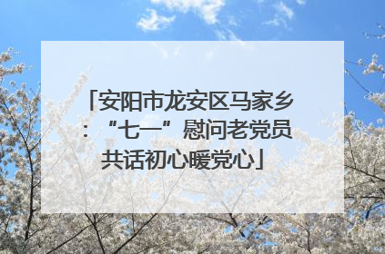 安阳市龙安区马家乡：“七一”慰问老党员 共话初心暖党心